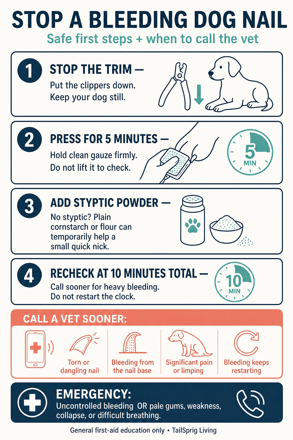 Infographic showing four safe first-aid steps for a bleeding dog nail and warning signs that mean it is time to call a veterinarian.